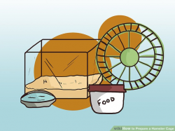How to Prepare a Hamster Cage: 10 Steps (with Pictures) - wikiHow