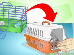3 Ways to Deodorize a Hamster Cage - wikiHow