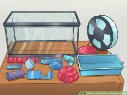 How to Clean Out a Hamster Cage: 12 Steps (with Pictures)