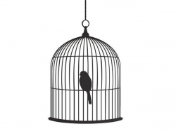 56 best Bird cages images on Pinterest | Bird cage, Bird cages and ...
