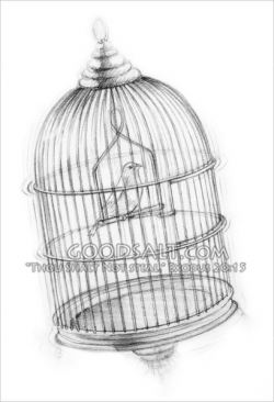 Bird in a Cage