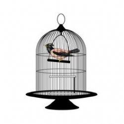ashland vintage birdcage ❤ liked on Polyvore featuring birdcages ...