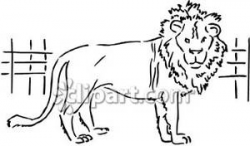 Black and White Lion In A Cage - Royalty Free Clipart Picture