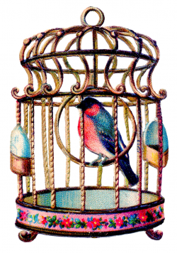 Vintage Clip Art - Delightful Colorful Bird in Cage - The Graphics Fairy