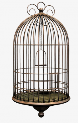 Metal Cage, Birdcage, Metal, Round Birdcage PNG Image and Clipart ...