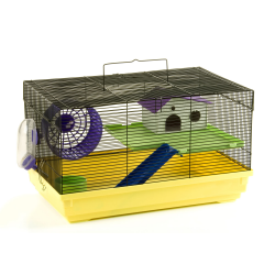 Cage clipart mouse - Pencil and in color cage clipart mouse