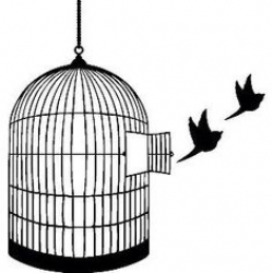 For all of the caged birds – let's break outta there…. by Melody ...