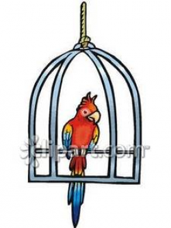 A Parrot on a Metal Swing - Royalty Free Clipart Picture