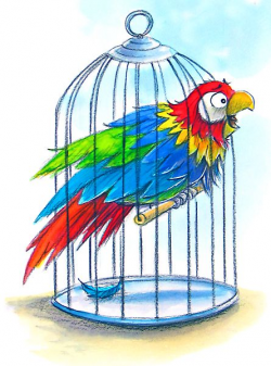 28+ Collection of Parrot In Cage Clipart | High quality, free ...