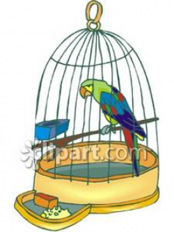 Parrot In a Small Cage | Clipart Panda - Free Clipart Images