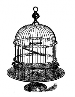 vintage pig clip art: Vintage Antique Black & White Bird Cage Clip Art
