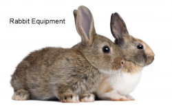 Rabbit-Equipment.jpg