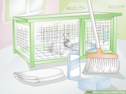 How to Clean a Rabbit Cage (with Pictures) - wikiHow