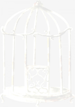 White Cage, Simple, Plain Jane, White PNG Image and Clipart for Free ...