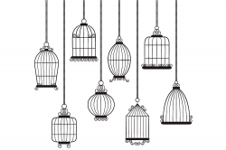 Digital Bird Cages Set ~ Illustrations ~ Creative Market