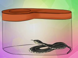 Snake clipart touch - Pencil and in color snake clipart touch