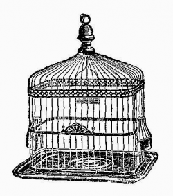Antique Images: 2 Free Digital Vintage Square Bird Cage Graphics