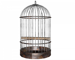 side birdcage cage png by madetobeunique on DeviantArt
