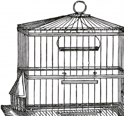 Vintage Wire Bird Cage Image - The Graphics Fairy