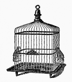Antique Images: 2 Free Digital Vintage Square Bird Cage Graphics