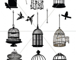 Bird cage svg | Etsy