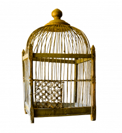 Bird Cage transparent PNG - StickPNG