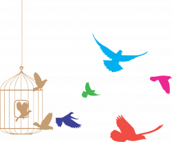 Birds Flying From Cage Clipart transparent PNG - StickPNG