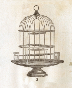 Vintage Clip Art - Victorian Bird Cage - The Graphics Fairy