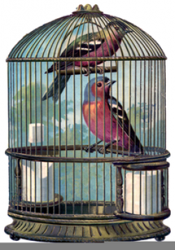 Free Vintage Bird Cage Clipart | Free Images at Clker.com ...