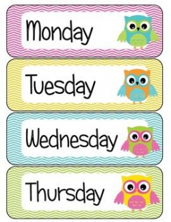 Days of the Week Owl Theme | Owl, Class room and Owl theme classroom