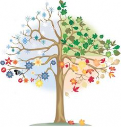 Four Seasons Trees Clipart Clip Art, Spring Summer Winter Fall ...