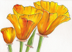 CALIFORNIA POPPY CARD | I painted this little card for my da… | Flickr