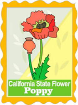 Search Results for state flower - Clip Art - Pictures - Graphics ...