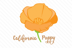 State Flower: California poppy SVG Cut file by Creative Fabrica ...