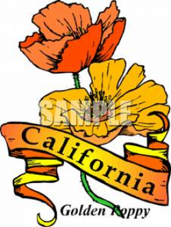 Clip Art Image: The State Flower For California