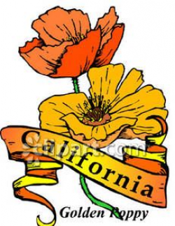 California State Flower - Royalty Free Clipart Picture ...