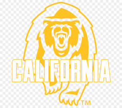 California Bear clipart - Bear, Text, Yellow, transparent ...