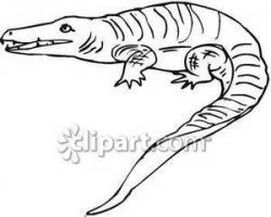 Calm Black and White Crocodile - Royalty Free Clipart Picture