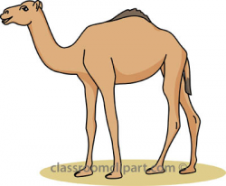 Camel clipart 3 image #13073