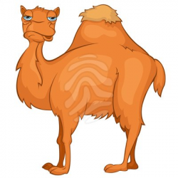 Free camel clipart 3 - WikiClipArt