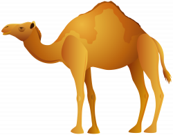 Camel PNG Clip Art - Best WEB Clipart