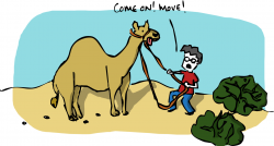 Sketchy Science: A Horse by Committee: Why Camels are Actually Amazing