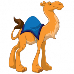 Funny Camel Clipart - Funny Camel Pictures | illustration ...
