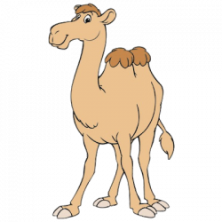 Funny Camel Clipart - Funny Camel Pictures
