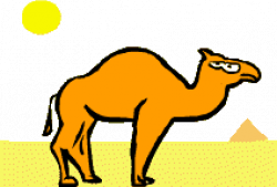 ▷ Camels: Animated Images, Gifs, Pictures & Animations - 100% FREE!