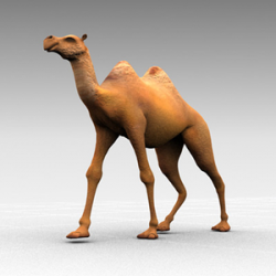 Animated Camel Walking | Free Images at Clker.com - vector clip art ...