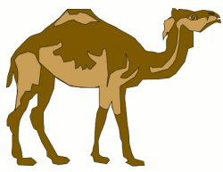 Animated Camel Clipart