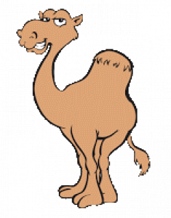 Camel Sticker for iOS & Android | GIPHY