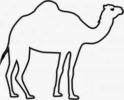 Black Camel, Eid, Al, Adha PNG Image and Clipart for Free Download