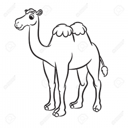 Camel Cartoon Drawing at GetDrawings.com | Free for personal use ...
